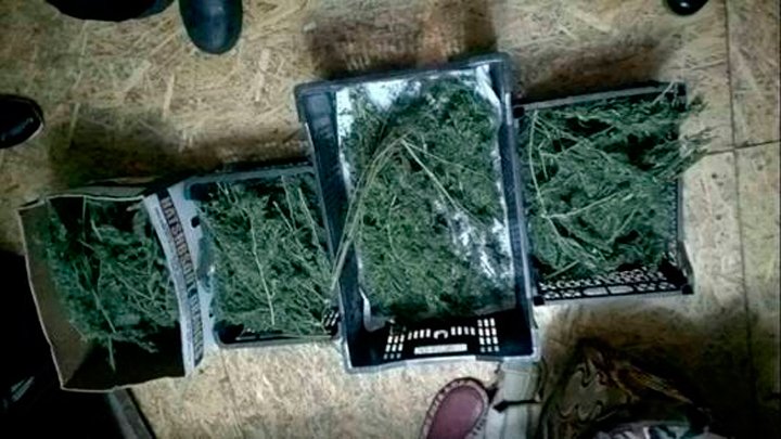 У жителя Броварського району вилучили зброю, набої та наркотики У жителя Броварського району вилучили зброю, набої та наркотики