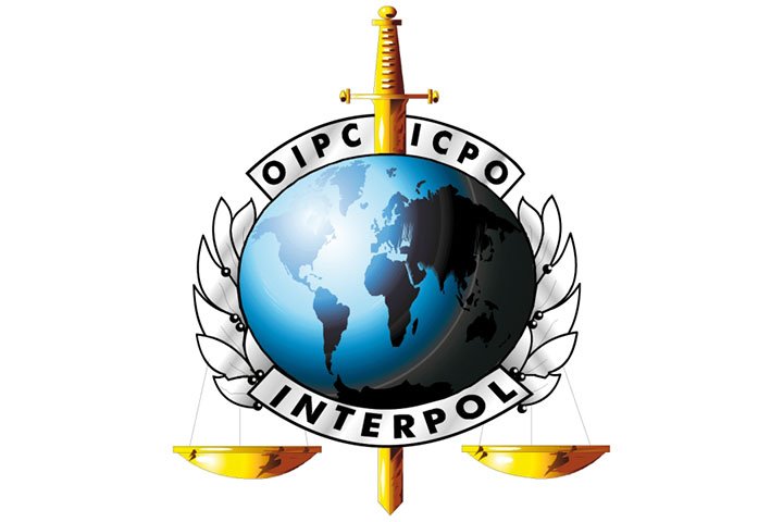 В "Борисполі" затримали громадянку України з викраденим угорським паспортом
