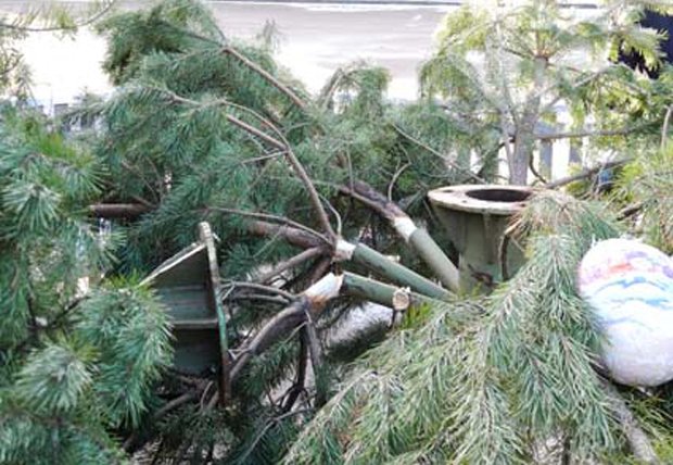 В Переяслав-Хмельницькому впала головна ялинка міста