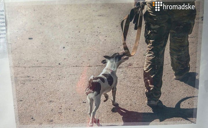 У Київському метро відкрили фотовиставку про тварин на передовій