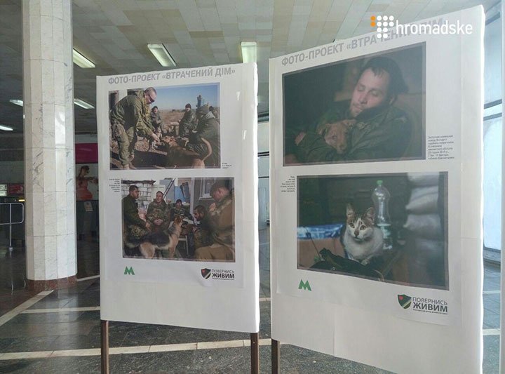 У Київському метро відкрили фотовиставку про тварин на передовій
