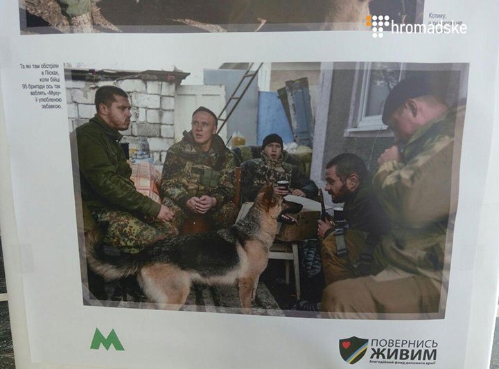 У Київському метро відкрили фотовиставку про тварин на передовій