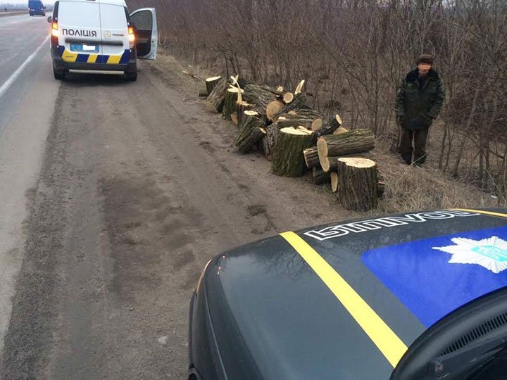 Поліцейські Київщини затримали чоловіка, який вирубував ліс