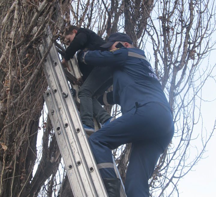 У Київській області хлопчик поліз на дерево за м'ячем і там застряг У Київській області хлопчик поліз на дерево за м'ячем і там застряг