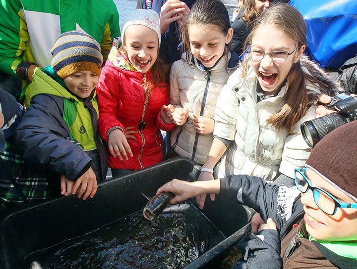 Риба повертається в столичні дніпровські води
