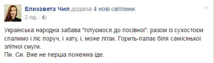 Масштабна пожежа під Києвом: вогонь майже  "дійшов"  до аеропорту "Бориспіль"