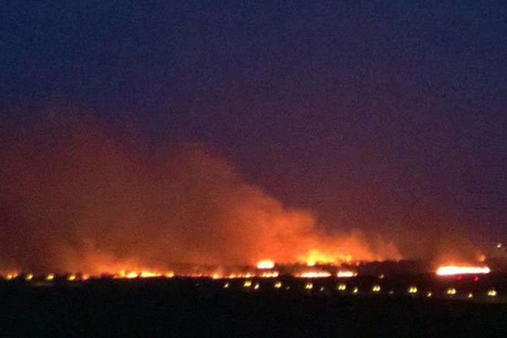 Масштабна пожежа під Києвом: вогонь майже  "дійшов"  до аеропорту "Бориспіль"