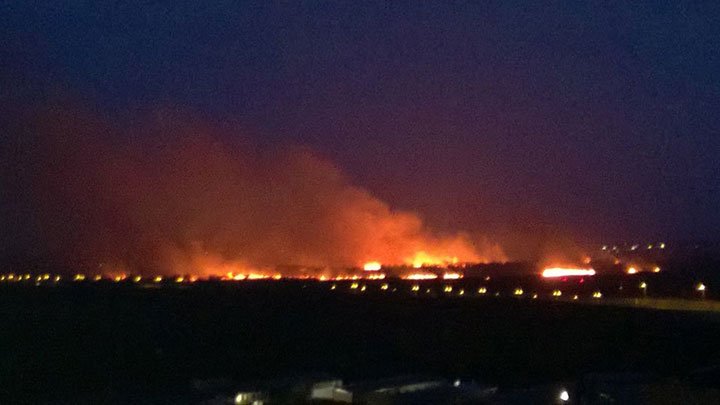 Масштабна пожежа під Києвом: вогонь майже  "дійшов"  до аеропорту "Бориспіль"