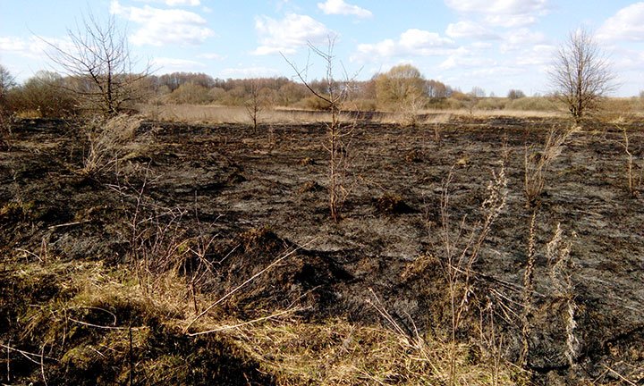Місця Бориспільщини, які чекають на благоустрій