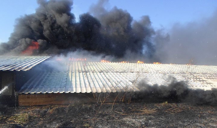 На Київщині спалювали суху  траву, а знищили будівлю