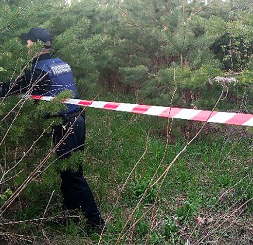 Витік газу під Борисполем: чоловік замість грибів, знайшов прорвану газову трубу Витік газу під Борисполем: чоловік замість грибів, знайшов прорвану газову трубу