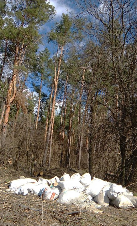 Місця Бориспільщини, які чекають на благоустрій