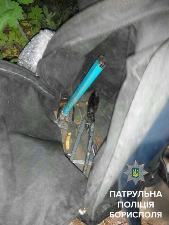 Бориспільські поліцейські зупинили чоловіка, який намагався обрізати кабель електроопори Бориспільські поліцейські зупинили чоловіка, який намагався обрізати кабель електроопори