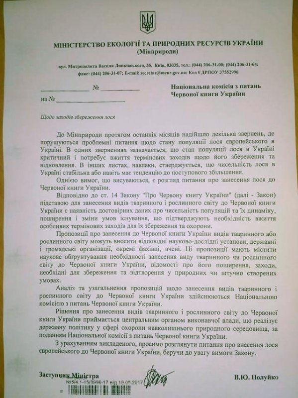 В Україні заборонили відстрілювати лося