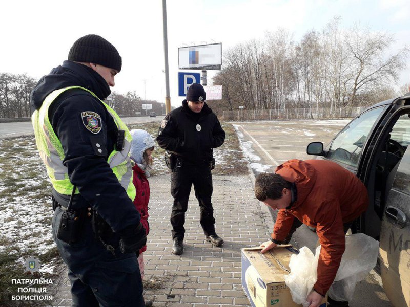 Не лише люди потребують допомоги. Патрульні Борисполя врятували птаха