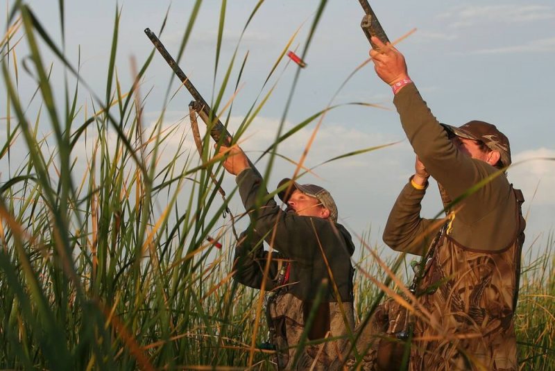 Увага! На Київщині розпочинається сезон полювання на пернату дичину