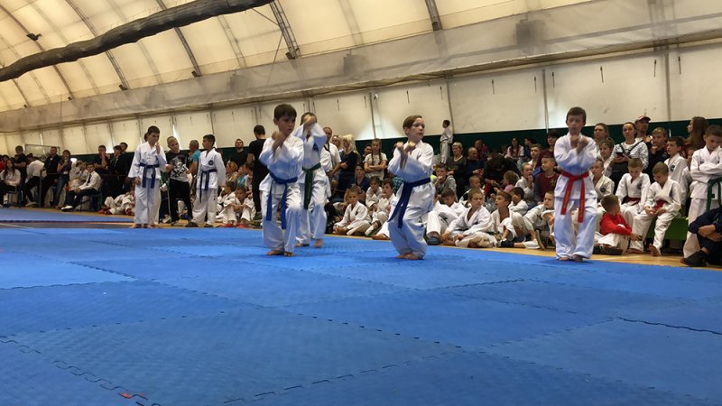 Успіх бориспільців на чемпіонаті України з таеквон-до Успіх бориспільців на чемпіонаті України з таеквон-до