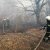 У Чорнобильській зоні досі тривають пожежі (фото, відео)