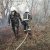 У Чорнобильській зоні досі тривають пожежі (фото, відео)