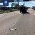 Під Борисполем жінка за кермом авто збила пішохода