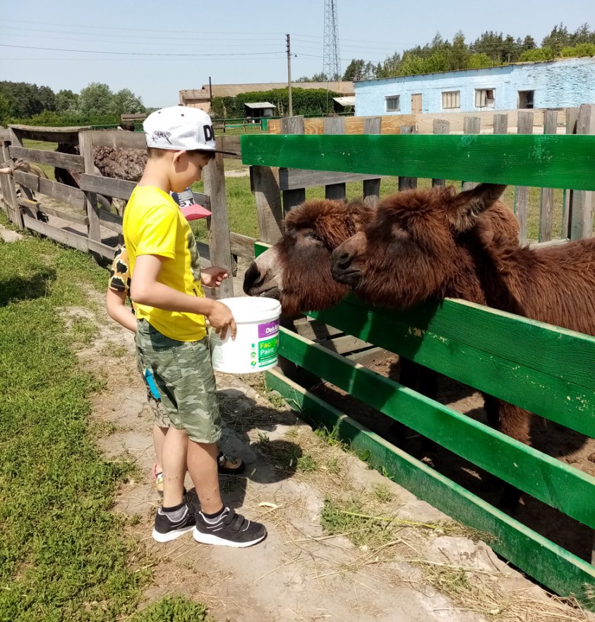 Відроджується Кийлівська Асканія Відроджується Кийлівська Асканія