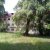 Репортаж із любов‘ю з Любарців