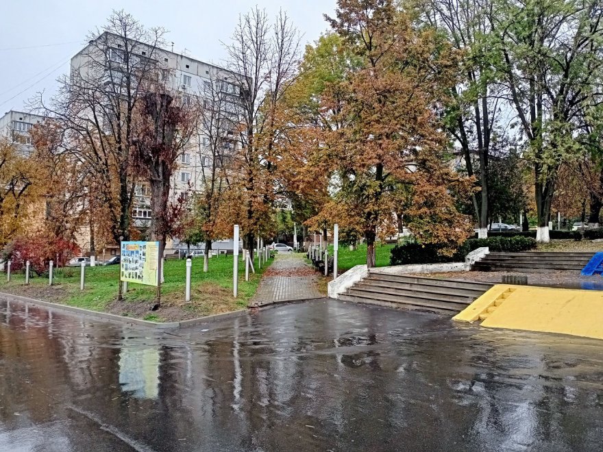 Знайомтесь: Васильків