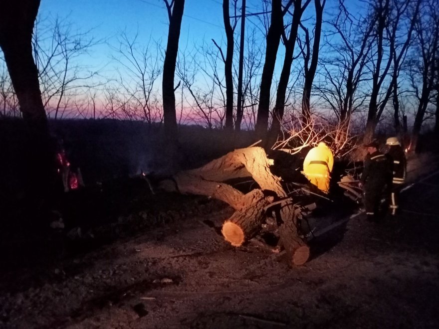Палії трави відзначились на Промені Палії трави відзначились на Промені