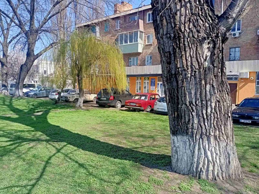 Алея пам’яті військовим медикам Алея пам’яті військовим медикам