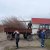 Кучаківський старостинський округ розпочав велике прибирання