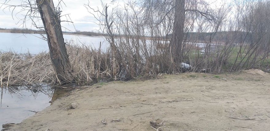 Береги Дніпра заховані за парканами