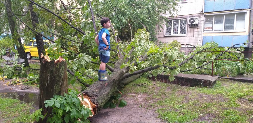 У дворі на вулиці Київський Шлях, 39 через зливу впав каштан та обірвав провід вуличного освітлення.