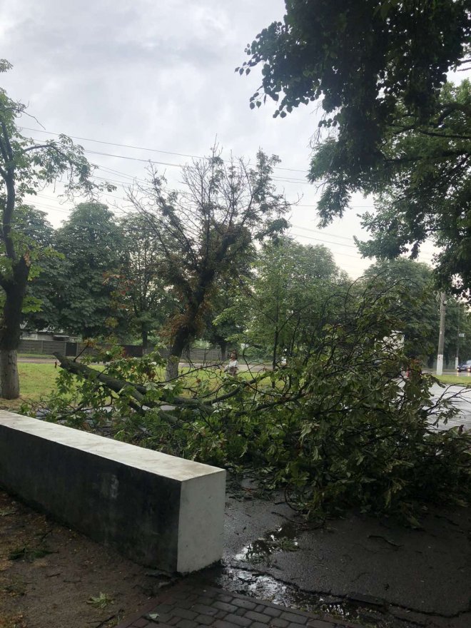 Наслідки негоди в Борисполі