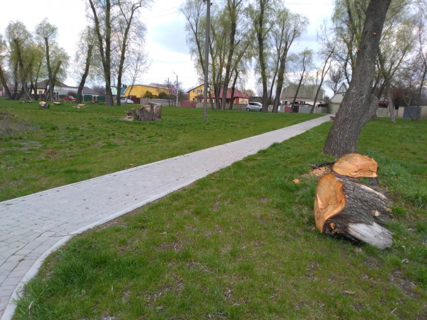 «Алею пеньків» біля озера Гульківка поповнила «алея сухостою» «Алею пеньків» біля озера Гульківка поповнила «алея сухостою»