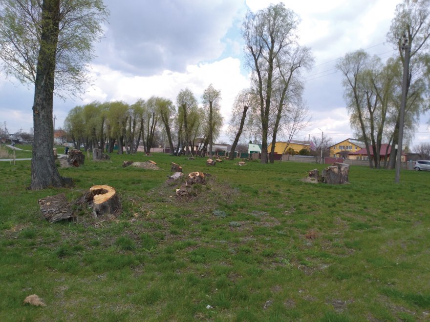 «Алею пеньків» біля озера Гульківка поповнила «алея сухостою» «Алею пеньків» біля озера Гульківка поповнила «алея сухостою»