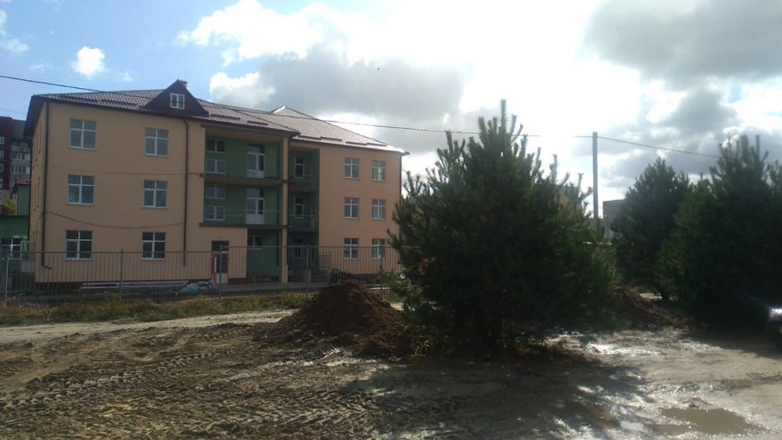 Між ДНЗ «Казка» та гаражами на вул. Момота висадили хвойні дерева Між ДНЗ «Казка» та гаражами на вул. Момота висадили хвойні дерева