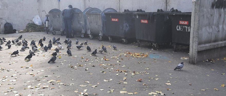 Безпритульне життя:  від злиднів та жебрацтва не зарікайся