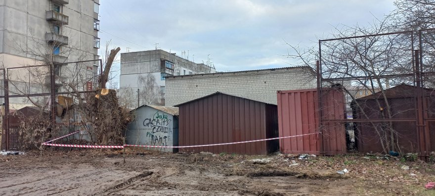 Бориспільські дерева заважають вже й трубам 