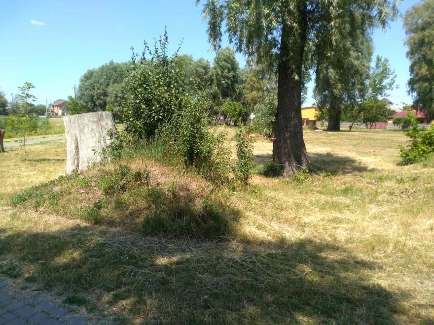 Пляжний сезон у Борисполі: із кафе, але без купання й туалетів Пляжний сезон у Борисполі: із кафе, але без купання й туалетів