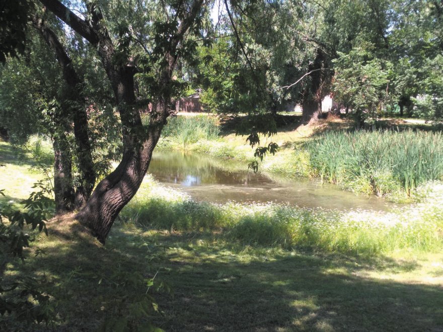 Малі водойми Борисполя — везучі й не дуже Малі водойми Борисполя — везучі й не дуже