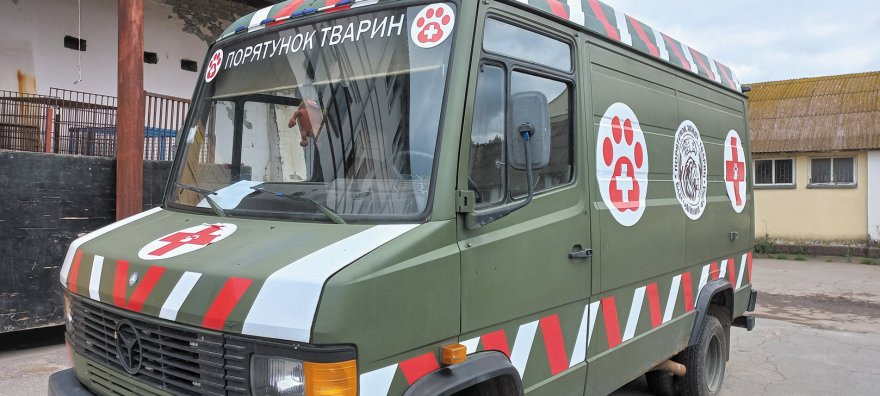 Евакуація диких тварин від війни відбувається через хаб на Бориспільщині