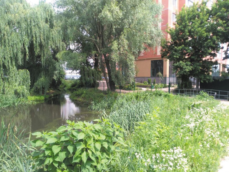 Життя озер залежить від людей Життя озер залежить від людей