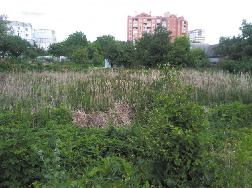 Життя озер залежить від людей Життя озер залежить від людей