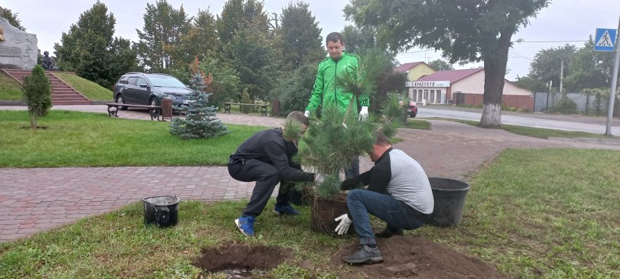 Активні бориспільці провели толоку з висаджування дерев на Розвилці