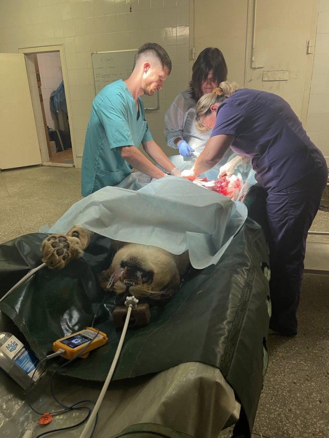 Центр порятунку  диких тварин:  понад 400 врятованих життів