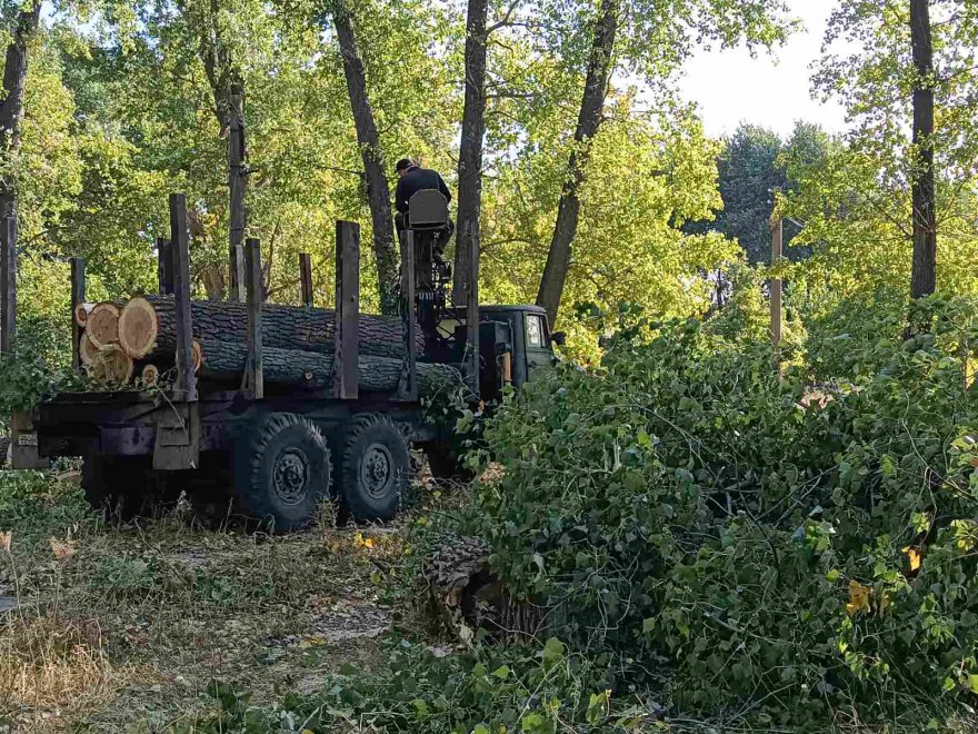 Біля Гульківки почали видалення дерев Біля Гульківки почали видалення дерев