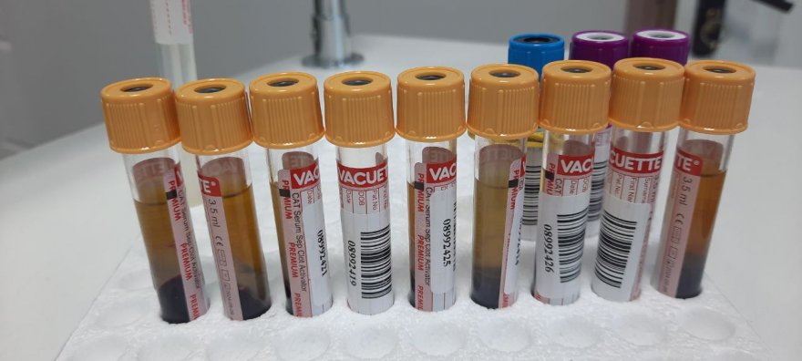 Вдалий старт роботи мережі  лабораторій INVIVO  на Бориспільщині