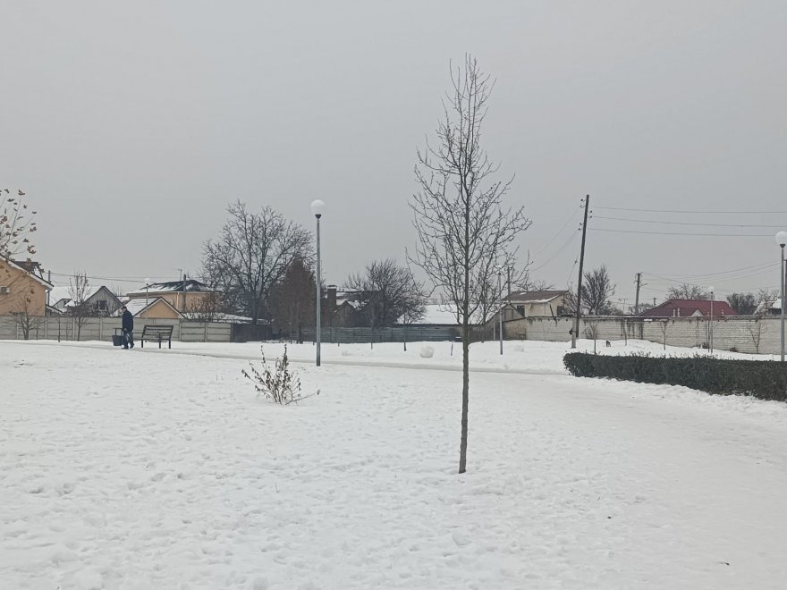 На Книшовому комплексі відкриють майданчик для вигулу собак