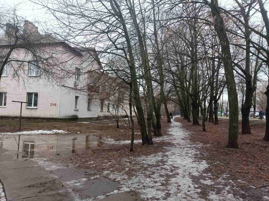 На розі вулиць Київський Шлях та Володимира Момота хочуть збудувати автосервіс, а дорогу до нього прокласти по Липовій алеї На розі вулиць Київський Шлях та Володимира Момота хочуть збудувати автосервіс, а дорогу до нього прокласти по Липовій алеї