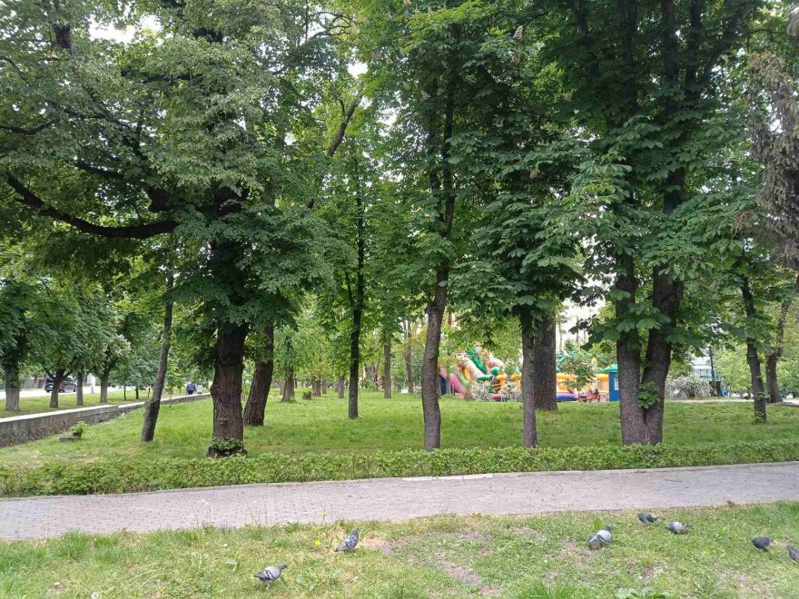 Локацію будівництва укриття в парку Борисполя вирішили змінити